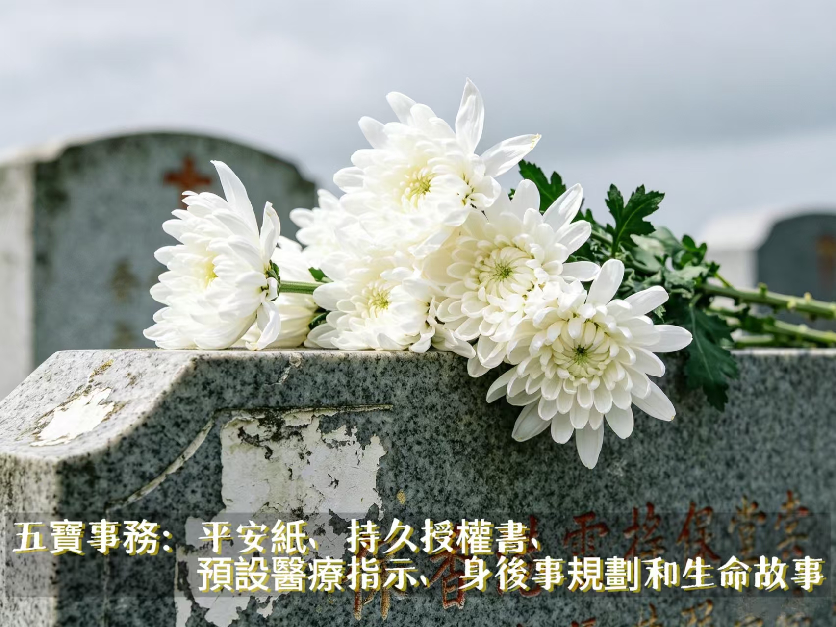96573670.jpg ddd.jpg